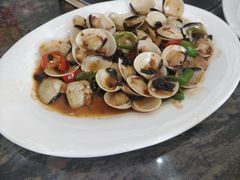 -蚝专家