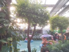 -南宫五洲植物乐园