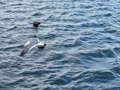 -烟台金沙滩海滨公园
