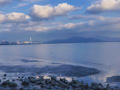 -深圳湾公园(南山区)
