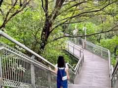 -佛山华盖山公园