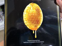 -龙丰 (旗舰店)