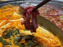 -红牌美蛙鱼头火锅(万辉国际广场店)