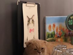 -咖法森林·咖啡  酒吧(天河店)