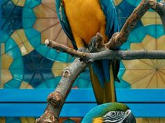 -北京野生动物园