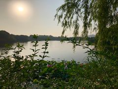 -上海市保健医疗中心(华东疗养院)