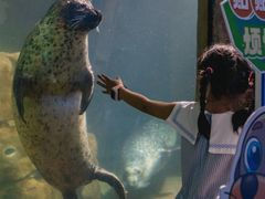 -福州罗源湾海洋世界旅游区