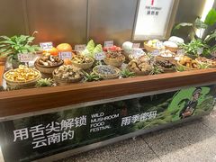 -滇铺子·云南特色菜·第九届野生菌美食节(东风东路c86店)