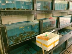 水产区-蓝国饭店