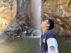 -清真马记宫廷奶酪(农光里店)