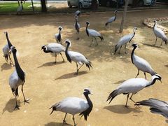 -秦皇岛野生动物园