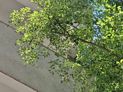 -湖北美术学院(昙华林校区)