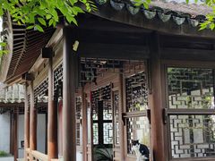 -秋霞圃