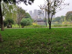 -堤角公园
