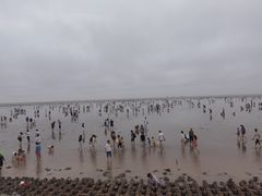 -奉贤海滩