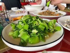 -罗源湾8号渔排