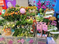 -盒马鲜生(大成店)