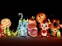 -沈阳奥体冰雪嘉年华