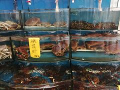 -渔中舟海鲜大排档(普陀沈家门店)