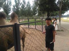 景点-长白岛森林公园