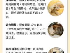 -翊宠yipet猫狗购宠庄园犬舍•猫舍