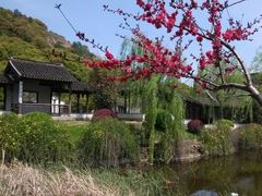 android_upload_pic-灵岩山风景区