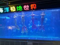 -蓬莱欧乐堡海洋极地世界