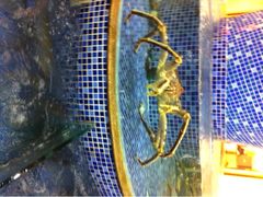 iphone_upload_pic-太子园林酒家