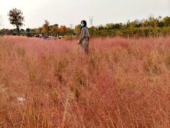 -郑东新区龙湖公共艺术中心