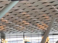 -郑州新郑国际机场-T2航站楼
