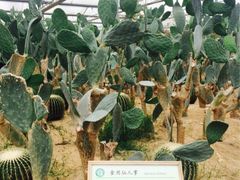 iphone_upload_pic-上海都市菜园