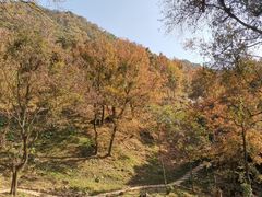 -广州市石门国家森林公园