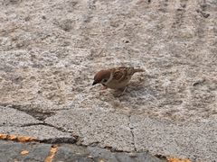 -颐和园