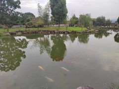 -兰亭风景区