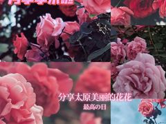 -迎泽公园
