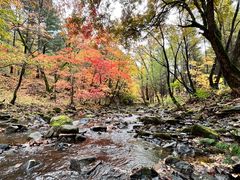 -本溪老边沟风景区