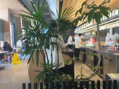 -gaga(深圳福田星河COCO Park店)