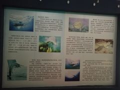 -紫薇公园