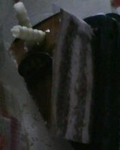 童话森林蛋糕-Caidie Bakery采蝶轩(百越店)