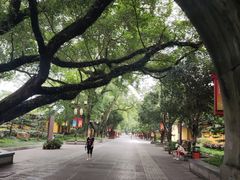 -六广门毛阿姨糯米饭