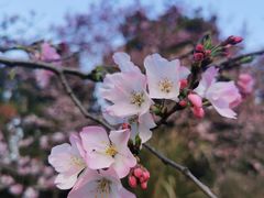 -上海植物园-4号门售票处