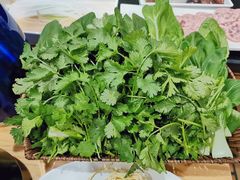 蔬菜拼盘-蓝海西城宾馆四季火锅