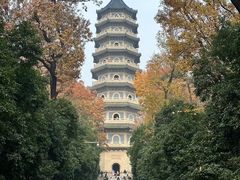 -灵谷景区