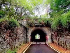 -东湖磨山景区樱花园-停车场