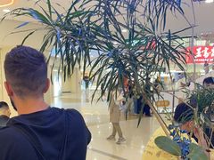 -野人先生Gelato(上海长宁龙之梦店)