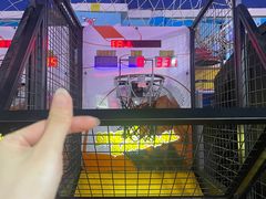 -大玩家(中原万达广场店)