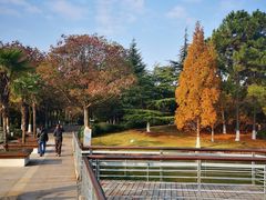-白塘生态植物园