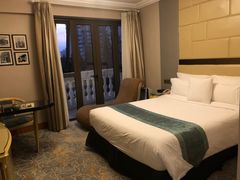 -上海安亭别墅花园酒店