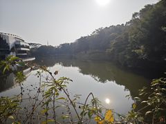 -深圳国际园林花卉博览园