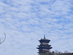 -杭州半山国家森林公园